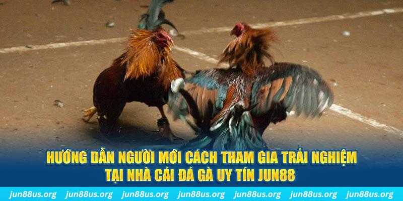 xoso6 loi game dot kich ket noi may chu that bai