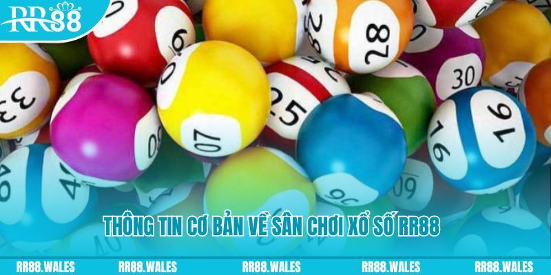 xoso6 đá gà hôm nay