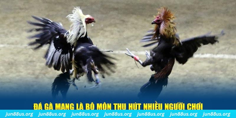 xoso6 tại sao tải game bài sunwin không được