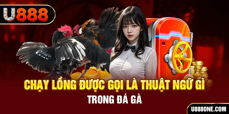 xoso6 tai game vua bai ve may tinh