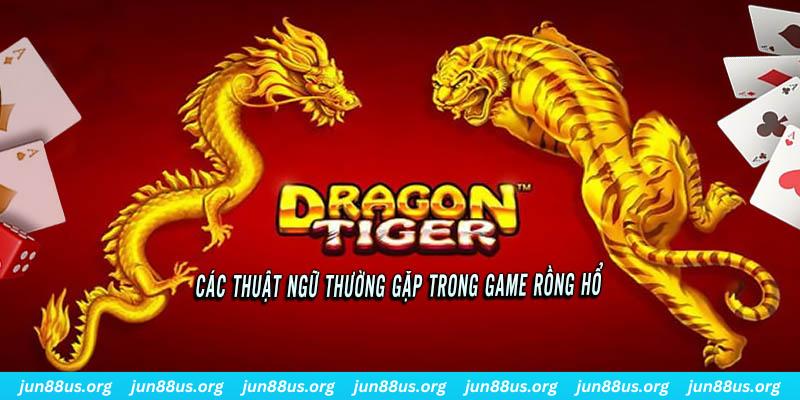 xoso6 ÁT CHỦ BÀI ĐẤU ĐỊA CHỦ