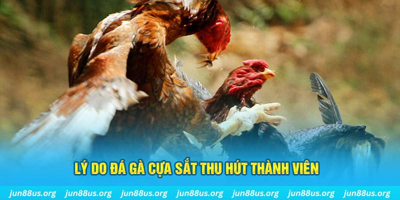 xoso6 chiếm slot là gì