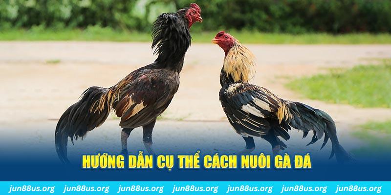 xoso6 đăng nhập sòng bạc số 1