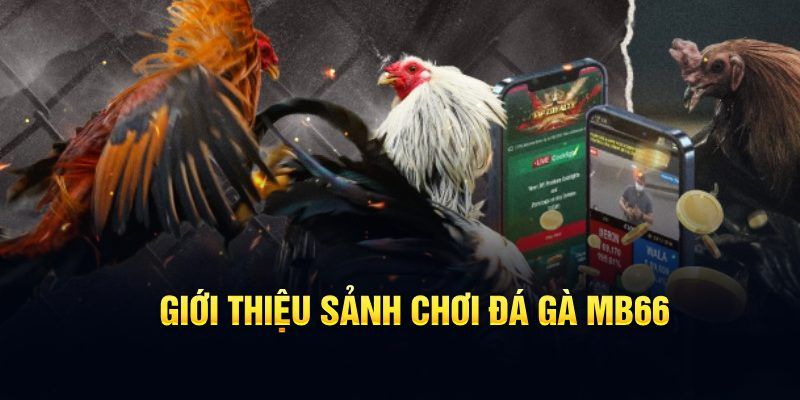 xoso6 đăng nhập poker hôm nay