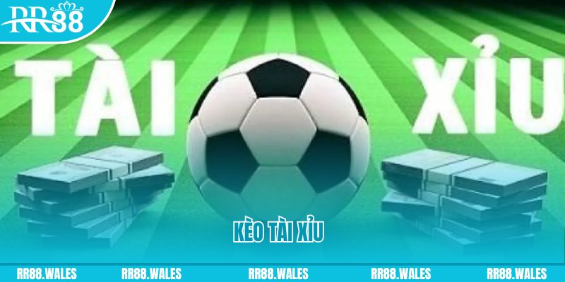 xoso6 gà chọi hoà phong